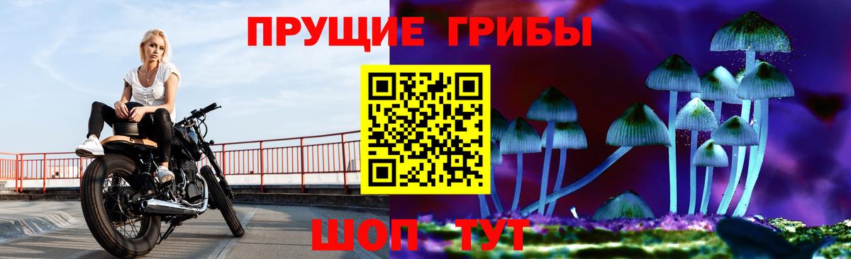 Галлюциногенные грибы мухоморы  Галлюциногенные грибы ЛСД  Мариинск  Вход с VPN 