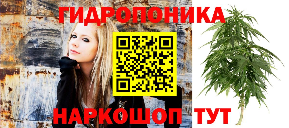 Мариинск  Марихуана Bruce Banner  Каннабис MAZAR  Вход с VPN  Марихуана планчик  Бошки марихуана ГИДРОПОН 